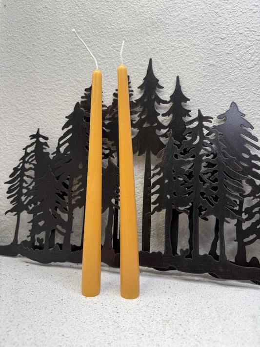 10-inch Beeswax Taper Candles — Pair